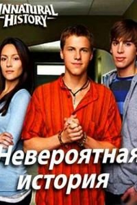 Невероятная история (2010)